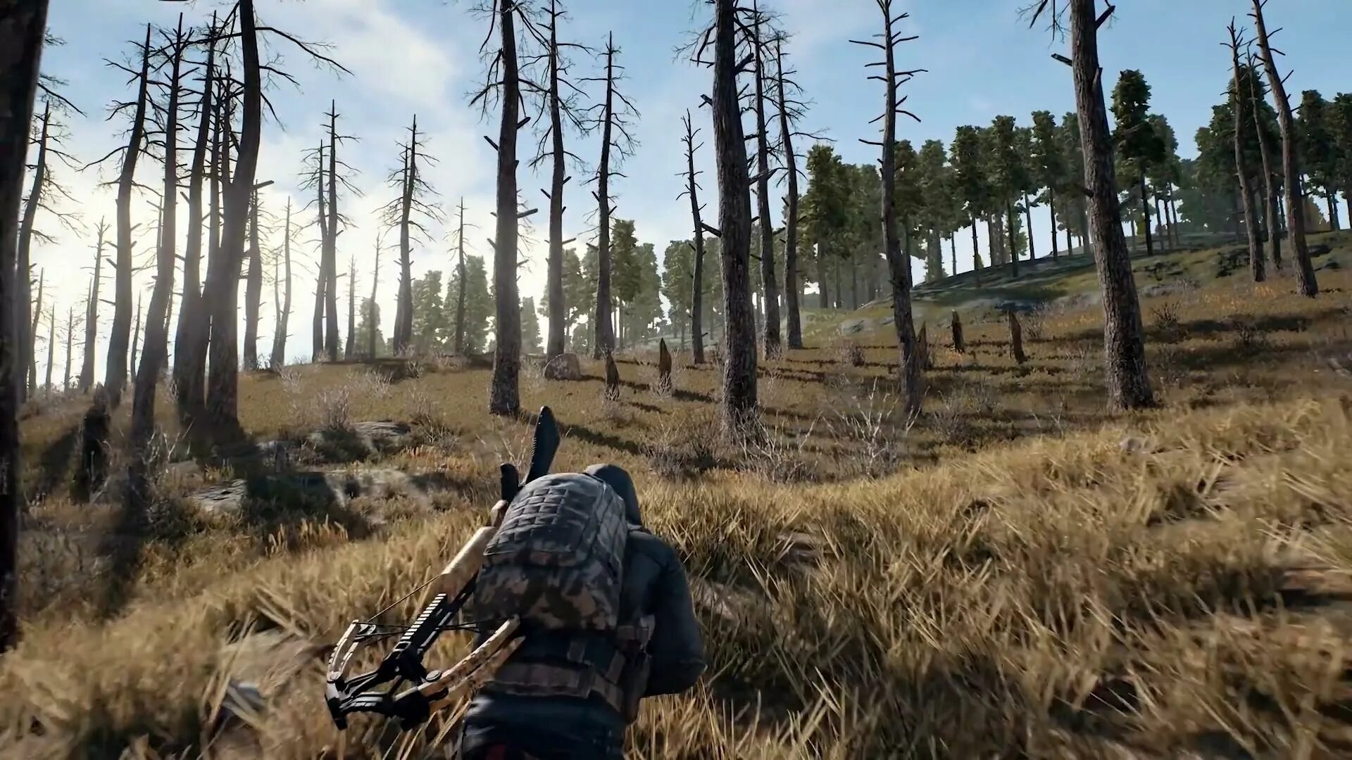 PUBG: Battlegrounds Скриншот 1