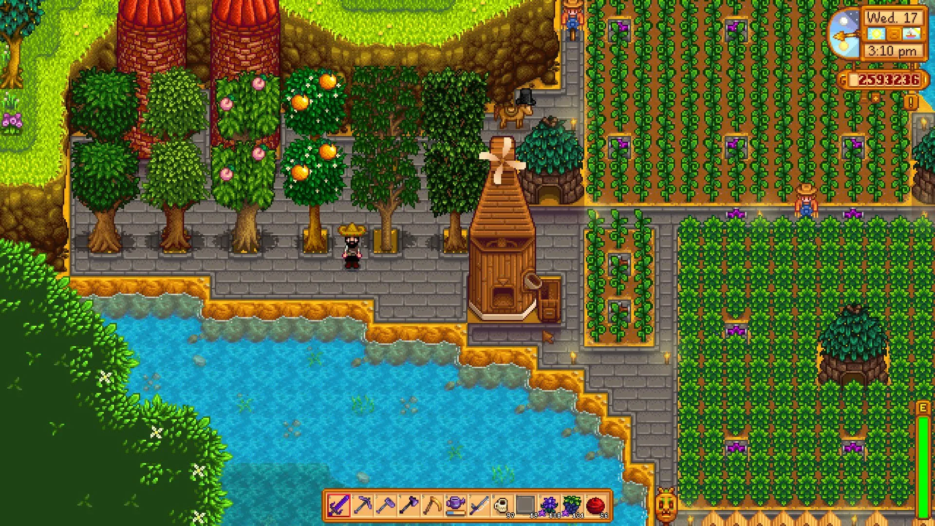 Stardew Valley Скриншот 3