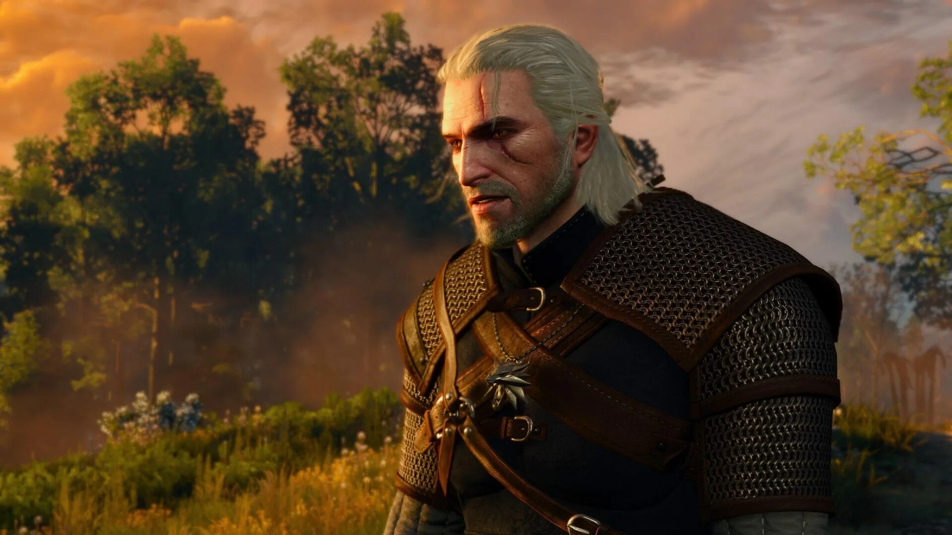 The Witcher 3: Wild Hunt Скриншот 1